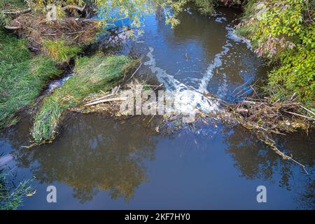 Vista sopra di una diga di Beaver Foto Stock