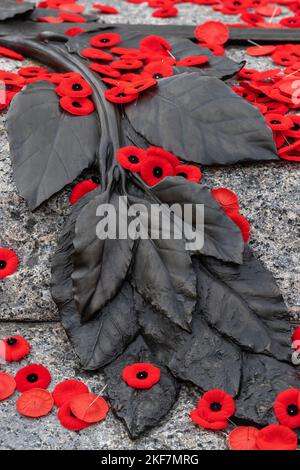 Fiori di papavero rosso sulla Tomba del Milite Ignoto a Ottawa, Canada il giorno della commemorazione Foto Stock