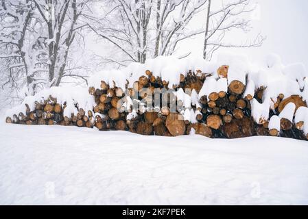 Catasta di tronchi ricoperti di neve in montagna in caso di forte nevicata Foto Stock