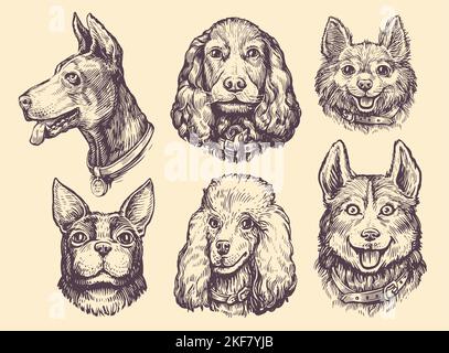 Set di ritratti di teste di cani di diverse razze. Collezione di animali da compagnia carina. Illustrazione del vettore cane e cucciolo Illustrazione Vettoriale