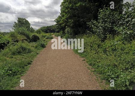 Vista lungo la linea ferroviaria riposta come sentiero pubblico Parkland Walk, Haringey, North London, UK Maggio Foto Stock