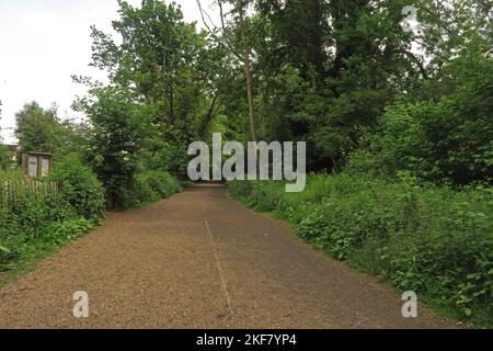 Vista lungo la linea ferroviaria riposta come sentiero pubblico Parkland Walk, Haringey, North London, UK Maggio Foto Stock