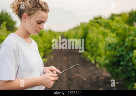 Vista laterale di una giovane agronomista che tiene il tablet in mano, in piedi nei vigneti durante la stagione del raccolto. Spazio di copia. Agricolo moderno Foto Stock