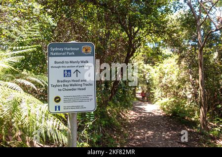 La sezione Bradleys Head Walking Track del Bondi to Manly Walk nel Sydney Harbour National Park, Australia Foto Stock