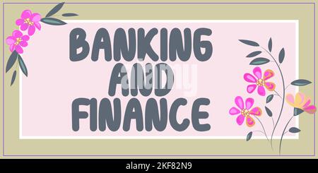 Scrittura che visualizza il testo Banking and Finance. Foto concettuale contabilità ed entità azioni interessi monetari Foto Stock