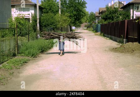 Snagov, Contea di Ilfov, Romania, circa 2000. Donna anziana in strada che trasporta un grande carico di legna da ardere sulla schiena. Foto Stock