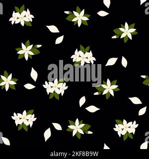 Motivo senza cuciture con fiori di Jasmine. Fiori bianchi, foglie verdi e petali su sfondo nero. Illustrazione isolata testurizzata disegnata a mano della fioritura Foto Stock