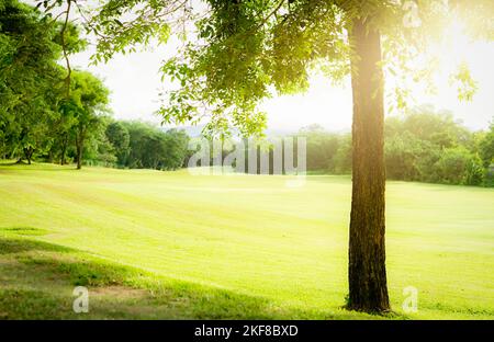 Campo da golf con verde paesaggio erboso. Verde prato campo con foresta e montagna come sfondo. Campo da golf presso l'hotel o il resort. Paesaggio di golf Foto Stock