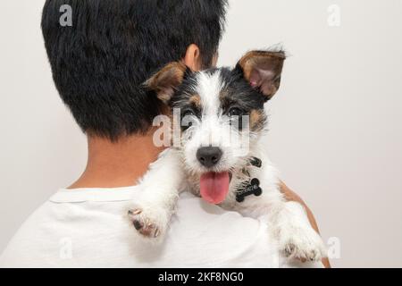 Maschio adulto che porta un cucciolo Jack Russell sulla spalla Foto Stock