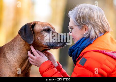 Donna con Ridgeback rhodesiano Foto Stock