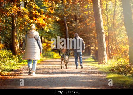 esseri umani con mongrel Foto Stock