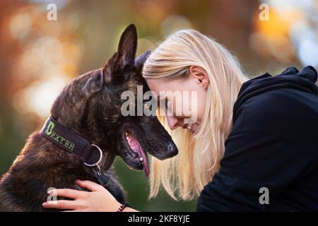 Donna e Hollandse Herder Foto Stock