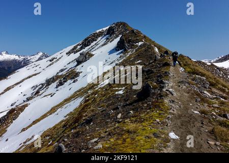 Un escursionista sulla pista di Kepler in condizioni di vineria. Fiordland National Park, Southland, South Island, Aotearoa / Nuova Zelanda. Foto Stock