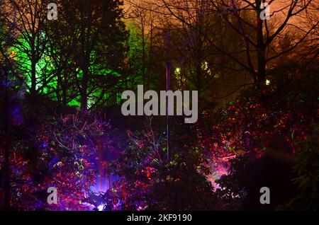 Spettacolo di luci Parco alberi illuminati colorfull evento grugapark Essen Foto Stock