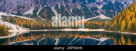 Un'immagine panoramica 3:1 da una tranquilla mattinata autunnale con abbondanza di colori autunnali dagli alberi di larice a Pragser Wildsee (Lago Braies), un pittoresco lak Foto Stock