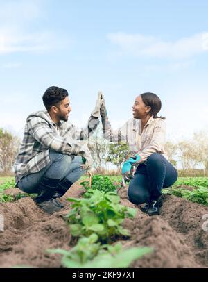 L'agricoltura, l'agricoltura e l'agricoltore hanno un'altezza di cinque dopo aver piantato insieme colture, sementi e piante nel suolo. Sostenibilità, lavoro di squadra e crescita di uomo e donna Foto Stock