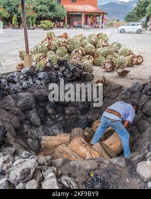 Una fossa o un forno per tostare i cuori di agave in una distilleria di mezcal artigianale, nella valle di Oaxaca, Messico. Un operaio sta riempiendo il wit di forno Foto Stock