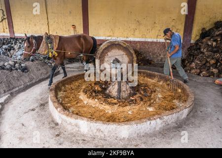 Un cavallo che tira la ruota di pietra per schiacciare i cuori di agave arrostiti in una distilleria di mezcal artigianale nella valle di Oaxaca, Messico. Queste piccole famiglie Foto Stock