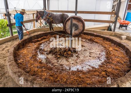 Un cavallo che tira la ruota di pietra per schiacciare i cuori di agave arrostiti in una distilleria di mezcal artigianale nella valle di Oaxaca, Messico. Queste piccole famiglie Foto Stock