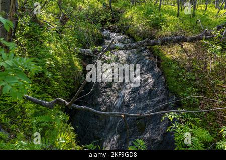 Area escursionistica. Midtre Kaldslett. Tromsø. Norvegia. Foto Stock