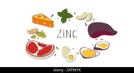 Alimenti contenenti zinco. Gruppi di prodotti sani contenenti vitamine e minerali. Set di frutta, verdura, carne, pesce e latticini. Illustrazione Vettoriale