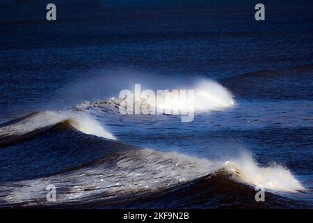 Poseidone, re del mare, un giorno creò il cavallo. Le onde di rottura sono riferite a come il cavallo bianco come la cresta dell'onda può essere vista e il ma Foto Stock