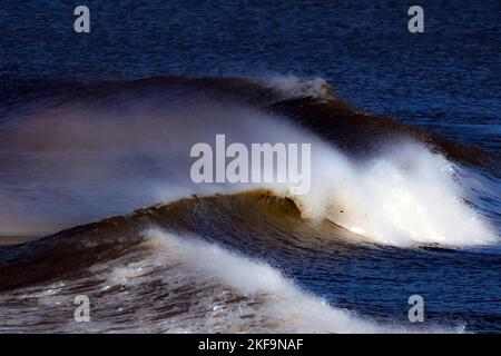 Poseidone, re del mare, un giorno creò il cavallo. Le onde di rottura sono riferite a come il cavallo bianco come la cresta dell'onda può essere vista e il ma Foto Stock