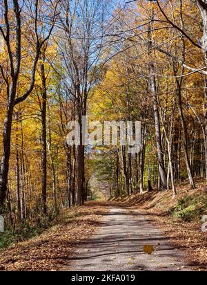 Bella strada di ghiaia paese in Ohio rurale con colorful fogliame autunnale nel mese di ottobre. Foto Stock