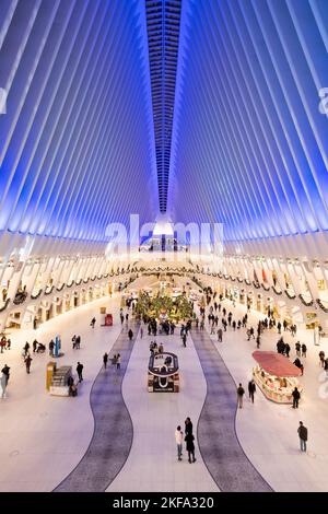 Gli interni dell'Oculus di New York City al Westfield World Trade Center con decorazioni natalizie in inverno. Distretto finanziario, Lower Manhattan Foto Stock