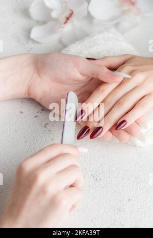 Belle mani di una giovane donna con manicure rosso scuro sulle unghie. Processo di manicure. Foto Stock