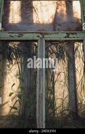 Foto del concetto della finestra di primo piano. Vecchio villaggio casa telaio finestra. Fotografia vista frontale con piante da casa sullo sfondo. Immagini di alta qualità per il wallpap Foto Stock