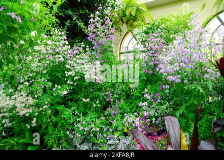 Fitzroy Gardens in un giorno di sole brillante a Melbourne, Victoria VIC, Australia Foto Stock