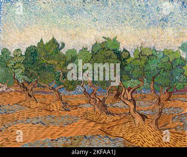 Vincent van Gogh pittura paesaggio, Olive Grove, olio su tela, 1889 Foto Stock