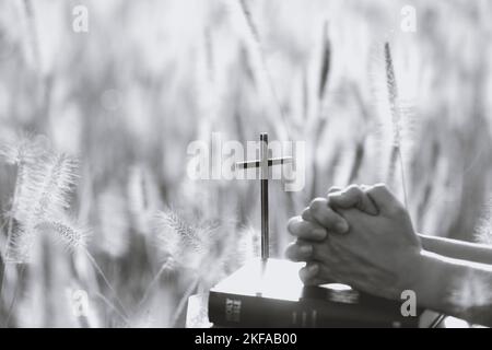 Giorno del Ringraziamento mani che pregano sulla Sacra bibbia, croce, canna e orzo campo paesaggio Foto Stock