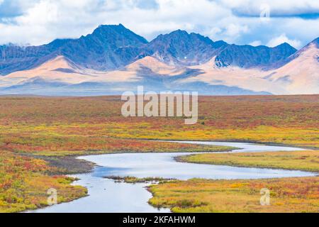 Montagne e tundra dell'Alaska Range lungo l'autostrada Denali Foto Stock