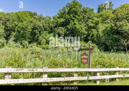 Ryder's stagno a North Haven, NY Foto Stock