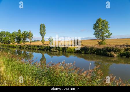 Paesaggio di un piccolo fiume e campi in provincia di navarra. Nord della Spagna Foto Stock