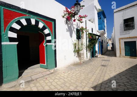 Tipiche case bianche porta ad arco colorata e uno stretto vicolo. Tunisi, Tunisia, Nord Africa Foto Stock