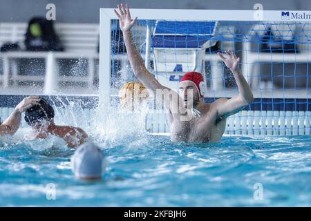 Polo Acquatico Frecciarossa, Roma, Italia, 17 novembre 2022, Goal Pro Recco durante i Distretti ecologici Nuoto Roma vs Pro Recco - Pallanuoto Serie Italiana A match Foto Stock