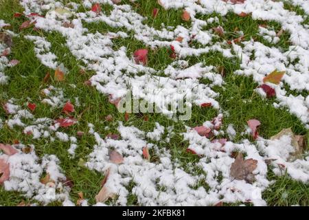 Neve che scioglie su erba verde e foglie d'autunno dai colori vivaci - sfondo Foto Stock