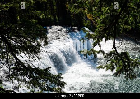 Cascate Cave lungo il fiume Fall nella parte SW del Parco Nazionale di Yellowstone, Wyoming, USA. Foto Stock