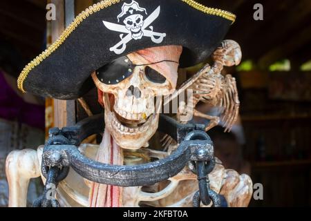 Scheletro pirata fstened per post con manacolo e scheletro uccello e dente d'oro Foto Stock