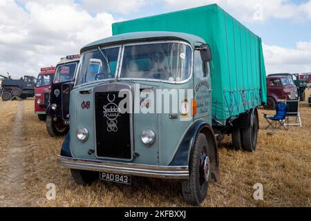 Tarrant Hinton.Dorset.United Kingdom.August 25th 2022.A Seddon Diesel Mark 5 camion dal 1955 è in mostra alla Grande Fiera del vapore Dorset Foto Stock