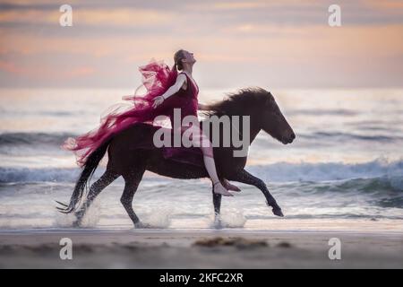 Donna e cavallo islandese Foto Stock