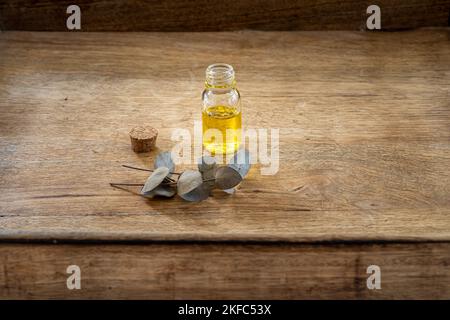 Olio essenziale in una piccola bottiglia di vetro con rametti di eucalipto su fondo di legno. Messa a fuoco selettiva e spazio di copia per il testo. Prodotti cosmetici naturali. Foto Stock