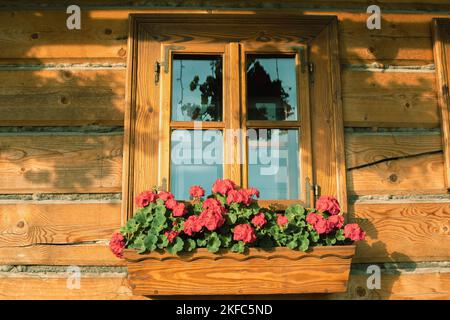 Finestra ben decorata di una casa in tronchi. Foto Stock