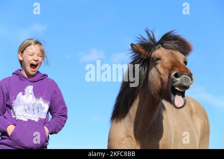 La ragazza e il cavallo islandese Foto Stock