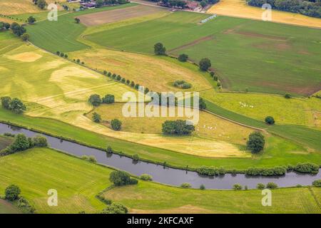 Vista aerea, prati e campi con il fiume Lippe in Hervest, Dorsten, Ruhr, Renania settentrionale-Vestfalia, Germania, DE, Europa, fotografia aerea, oltre Foto Stock