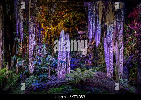 Avatar - l'esperienza a Clouds Forest, Gardens by the Bay, Singapore. Foto Stock