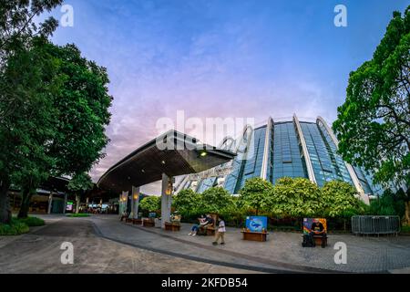 Avatar - l'esperienza a Clouds Forest, Gardens by the Bay, Singapore. Foto Stock